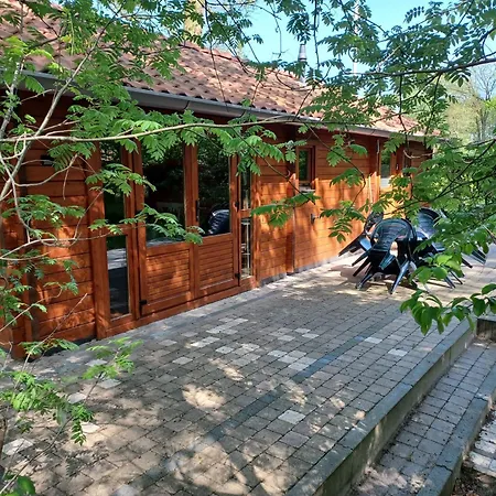 Knus Houten Voor Stellen En Gezinnen Met Ruime Tuin Op De Veluwe