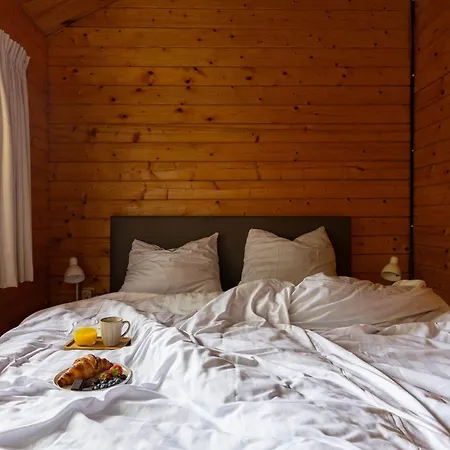 Casa de Férias Knus Houten Voor Stellen En Gezinnen Met Ruime Tuin Op De Veluwe