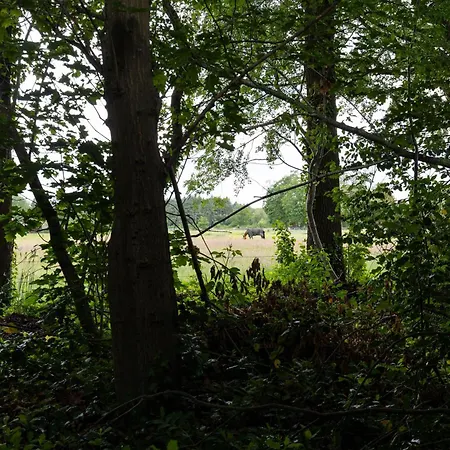 Casa de Férias Knus Houten Voor Stellen En Gezinnen Met Ruime Tuin Op De Veluwe *