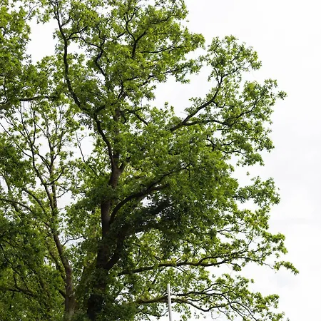 Knus Houten Voor Stellen En Gezinnen Met Ruime Tuin Op De Veluwe *