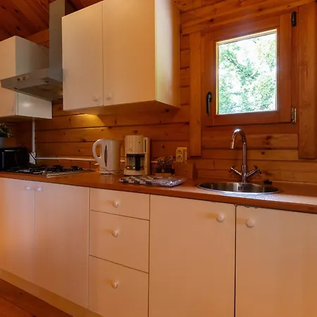 Knus Houten Voor Stellen En Gezinnen Met Ruime Tuin Op De Veluwe * Epe