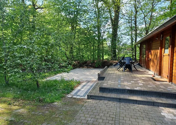 Holiday home Knus Houten Op Groot En Perceel Op De Veluwe Epe