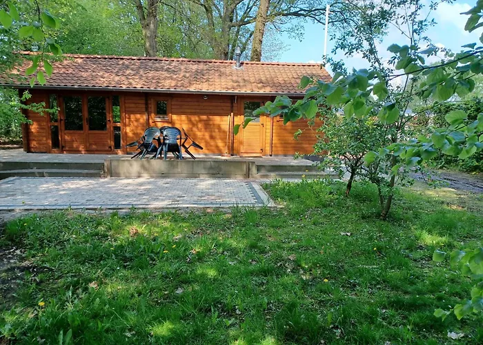 Ferienhaus Knus Houten Op Groot En Perceel Op De Veluwe *